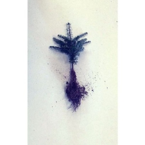 Korean Fir Transplant Plug+1 5/10"