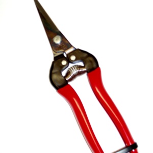HP-300L ARS NEEDLENOSE PRUNER