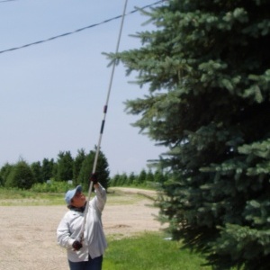 LA-180ZF305: 6'-10' EXTENDABLE LONG ARM PRUNER, RAZOR-EDGE BLADE