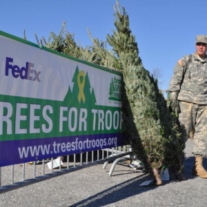 Trees for Troops Program