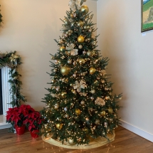 2018GovResLivingRoomChristmasTree