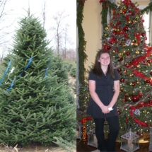 VP.2011_FieldAndAfter