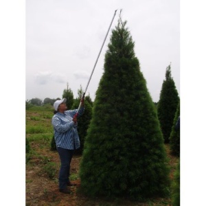 LA-190ZR315: ARS 6'-10' Extendable Long Arm Pruner, Super Trimmer Blade