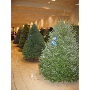 Christmas Tree Display System
