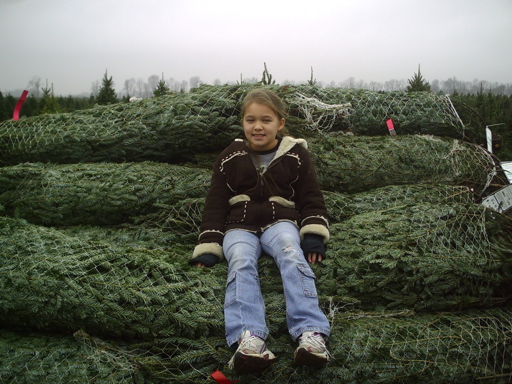 Trees for Troops - Donate a REAL Christmas Tree!
