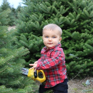 Photo Mini Sessions Booking Page