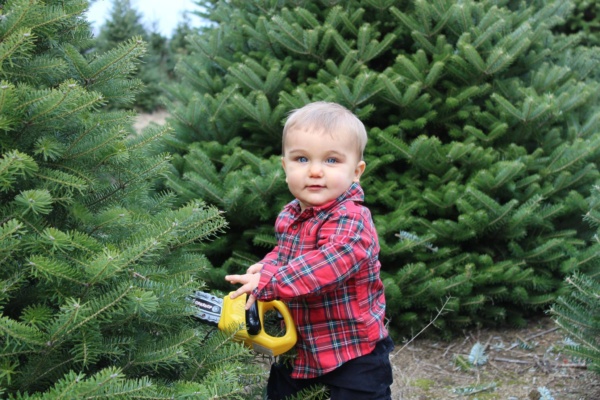 Photo Mini Sessions Booking Page