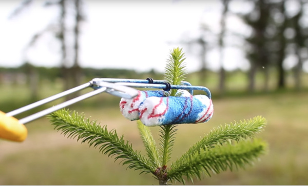 Myco-Roller Easy Roller Applicator Kit - Image 2