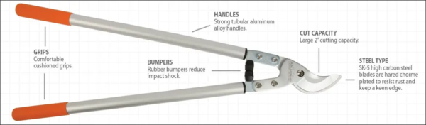 Pro Pruning Lopper - A.M. Leonard's - Image 2