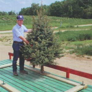 #200-Used 5'x10' Wooden Display Racks, including pin plates, completely assembled