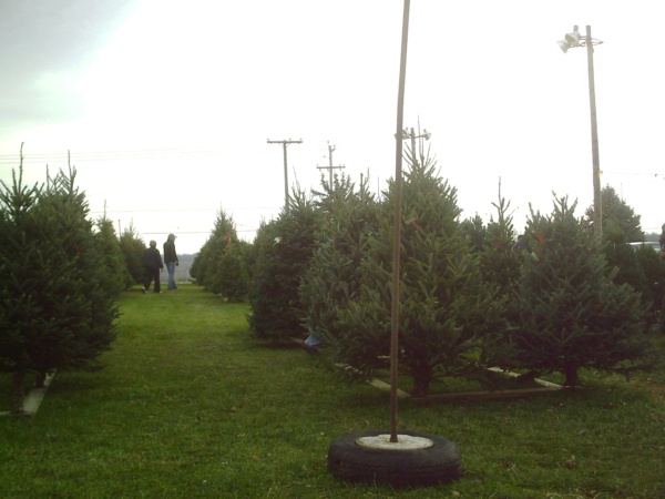 #200-Used 5'x10' Wooden Display Racks, including pin plates, completely assembled - Image 8